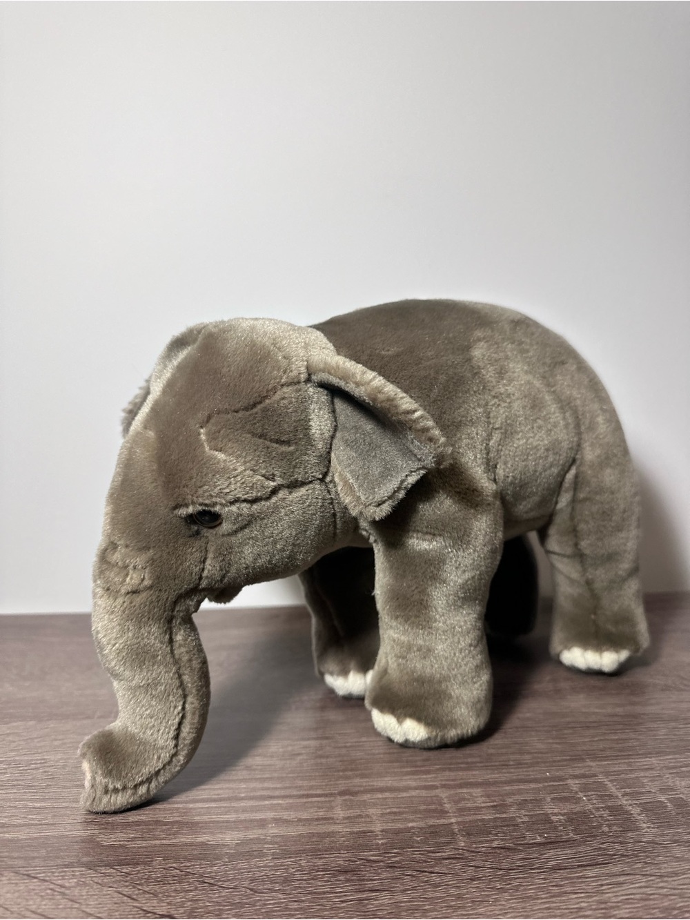 Webkinz Endangered Asian Elephant Plush GANZ WKSE3000 No Code Rare